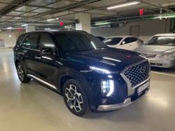 фото №0 Hyundai Palisade